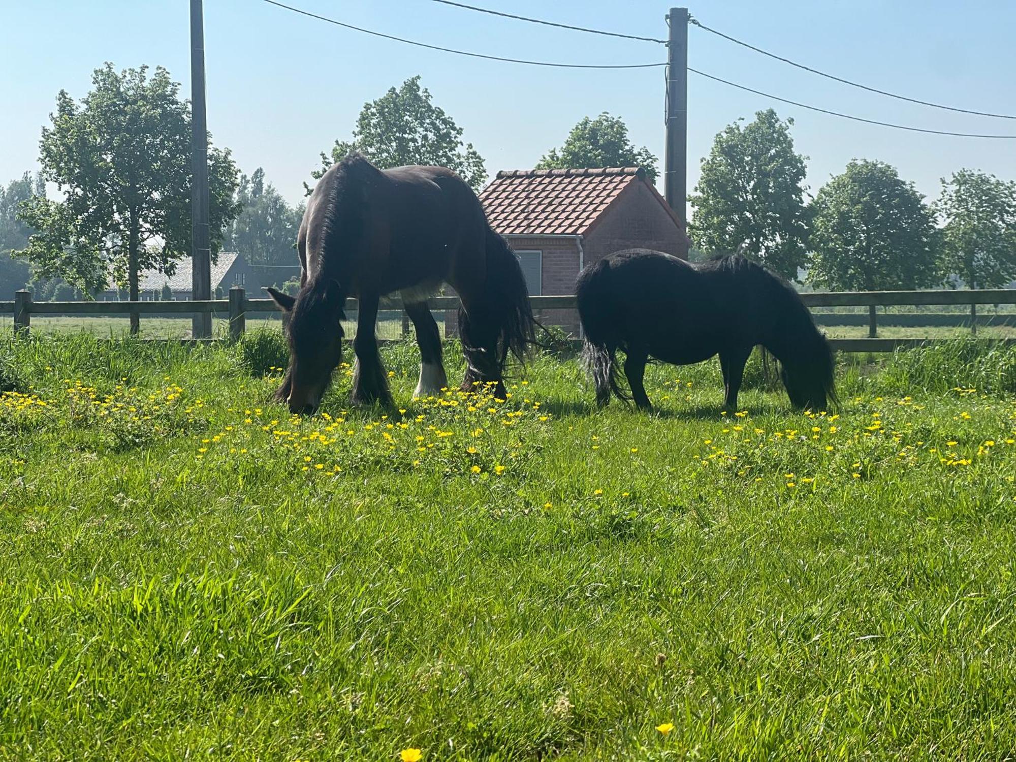 B&B Deso Zonnebeke Kültér fotó